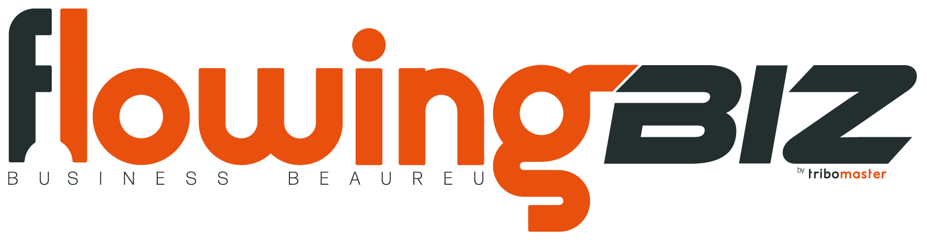 flowingbiz logo